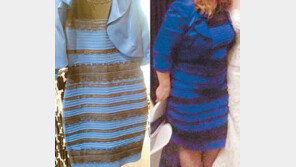 이 원피스 무슨 색으로 보이시나요