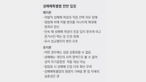 ‘性的 자기결정권’ 도미노… 성매매특별법도 위헌 가린다