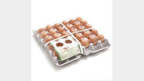 달걀이 학생에게 좋은 이유, SKY입학의 지름길?