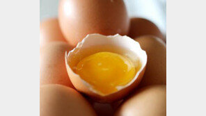 달걀이 학생에게 좋은 이유, 뇌 건강에 좋은 레시틴 다량 함유…뇌 30%가 레시틴
