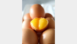 달걀이 학생에게 좋은 이유, 집중력 향상-기억력 증진...어떤 성분 때문에? 