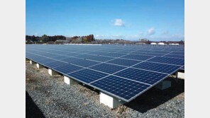 도쿄 불 밝히는 15만개 모듈 ‘LS 작품’