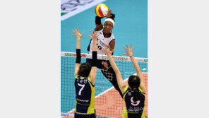 현대캐피탈·흥국생명 봄배구 탈락