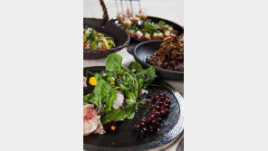 노보텔 앰배서더 강남, 샐러드 뷔페 점심 할인