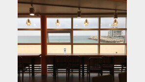 강릉 커피 힐링로드 조성, 커피의 도시 입증