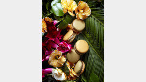 [Q매거진]디저트 좀 먹어 봤나요? 그럼 ‘그’ 마카롱 알겠네!