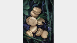 [Q매거진]“영감이 떠올라야 만드는 마카롱”… 달콤한 디저트의 황제 