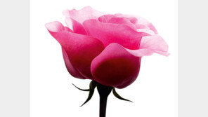 [Q매거진]아름다움을 넘어 여성의 진정한 행복을 추구하다