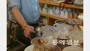 강릉 커피 힐링로드 조성…누리꾼 "커피와 등산이라…굿 초이스!"