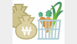 “서울 물가, 도쿄보다 비싸…옷값-식료품값은 세계 최고”