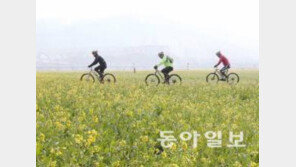 봄 건강 챙기는 아이템… "세가지 꼭 챙기세요"