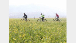 봄 건강 챙기는 아이템 "하이힐, 미니스커트, 그리고 '이 것' 피하세요"