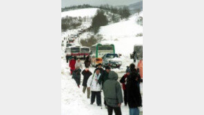 강릉 커피 힐링로드 조성, 커피 마니아 위한 새로운 데이트코스로 부각