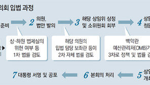 법안 발의부터 상정까지… 美, 위헌 차단 ‘3중 필터’