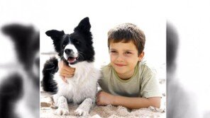 강아지 기억력 지속 시간 보니, 주인 잘 따르는 이유는?