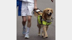 강아지 기억력 지속 시간 2분 밖에 안되는데 어떻게 주인을 기억할까?