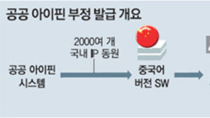 주민번호 대체한다더니… 공공아이핀, 단순 해킹에도 뚫려