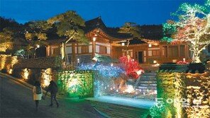 [수도권]조명 1000만개… 일산 한옥마을 빛축제