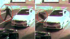 어설픈 車도둑, 창문 깨려고 던진 벽돌에 머리 맞고 ‘픽’