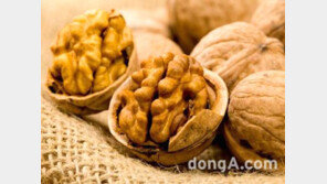 호두의 효능, 콜린과 오메가3 풍부해 치매 예방과 건망증 치료에 효과적