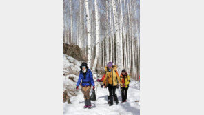 웃으면 복이 온다 증명, 적당한 자극이 세포 성장률 높여…“가벼운 등산 도움”