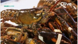 랍스터 무한리필 등장, “싱싱함이 살아있다” 감탄…가격 보니 ‘깜짝’