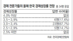 “내수침체 심화… 2015년 성장 3.4% 못미칠것” 