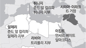 보코하람, IS에 충성 맹세