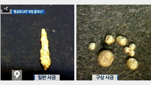 신라 ‘황금 유물’의 비밀은 사금? 희귀 ‘구상 사금’ 등 대량 발견