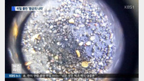 신라 사금 발견, 구상사금 일반 사금보다 순도 20% 높아…순도 70~80%