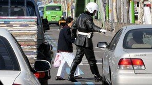 무단횡단 단속 강화, 울타리 등 무단횡단 예방시설을 설치…노면 도색