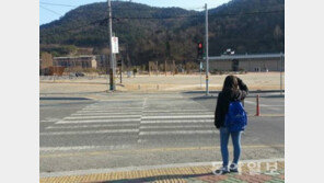 무단횡단 단속 강화… 서울시, 사고 다발지역에 울타리 설치