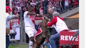 [영상]  FC쾰른 안토니 우자, 염소 뿔 잡고 ‘황당 골세레모니’