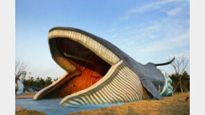 가장 외로운 고래 52를 위한 모금활동 美 전개…사연 들어보니? ‘감동 물결’