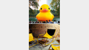 ‘러버덕’ 예술작품으로 돌아온다