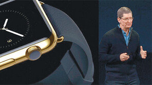 애플워치, 한 방은 없었네