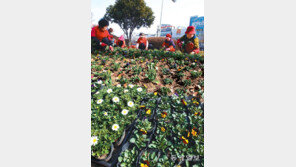 [광주/전남]봄맞이 준비 분주