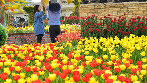 롯데월드·에버랜드에 봄이 온다