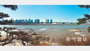 [인천/경기]송도국제도시 첫 민자 임대아파트 건립 논란