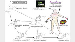 이상엽 교수팀, 한약 약효 현대의학으로 규명 “신약개발 토대 마련”