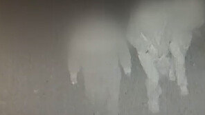 국회의원 아들 포함 3인조, ‘펜션 절도 혐의’ 불구속 입건…CCTV에 포착?