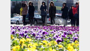 12일 오후부터 추위 풀려, 주말엔 전국 봄날씨