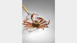 이마트, 연중최저가로 러시아 활대게 선보여