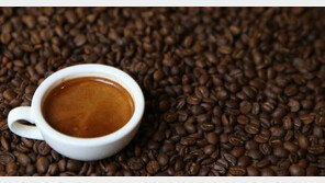 환절기 대사 촉진 식품… 캡사이신·커피·식초 ‘주목’