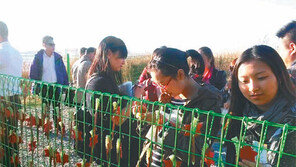 [인천/경기]별그대 촬영지 보고 피부미용… 융복합 관광상품 뜬다