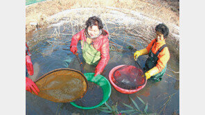 [광주/전남]‘오지’에서 ‘기회의 땅’으로 변신한 옴천면
