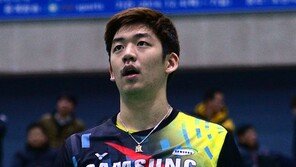 이용대·유연성…국가대표 별☆들이 떴다