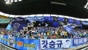 울산, 무료 입장 근절한다더니…AD카드 관리 엉망