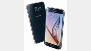 갤S6 디스플레이, 美서 최고등급 받아