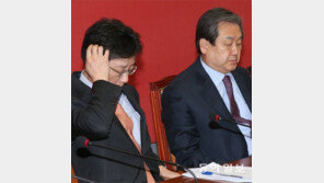 여당發 사드 논란 번지자… 靑 “3 NO 변함없다” 진화 나서